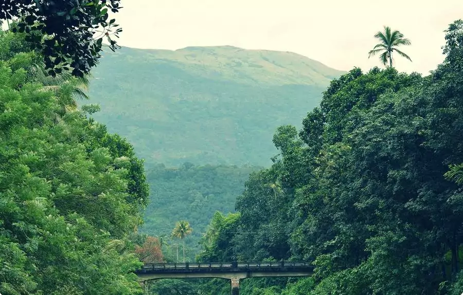 Kuttikanam - Kerala Tourist Places
