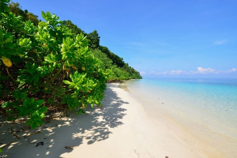 Places To Visit In Andaman And Nicobar Island