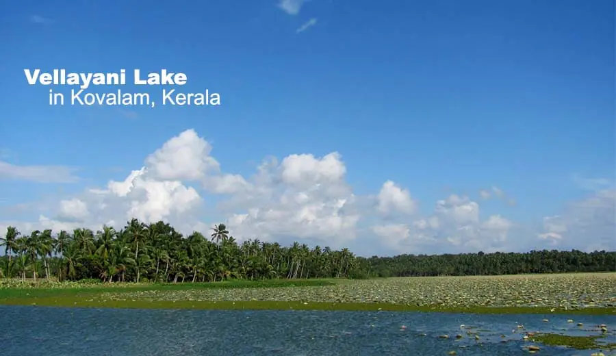Vellayani Lake in Kovalam, Kerala