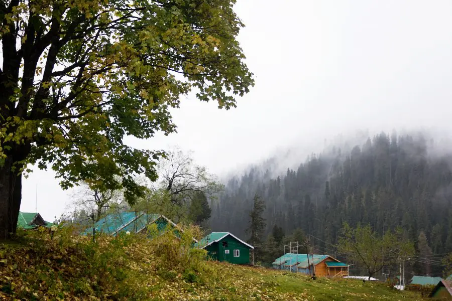 Gulmarg - Places For Honeymoon in Kashmir