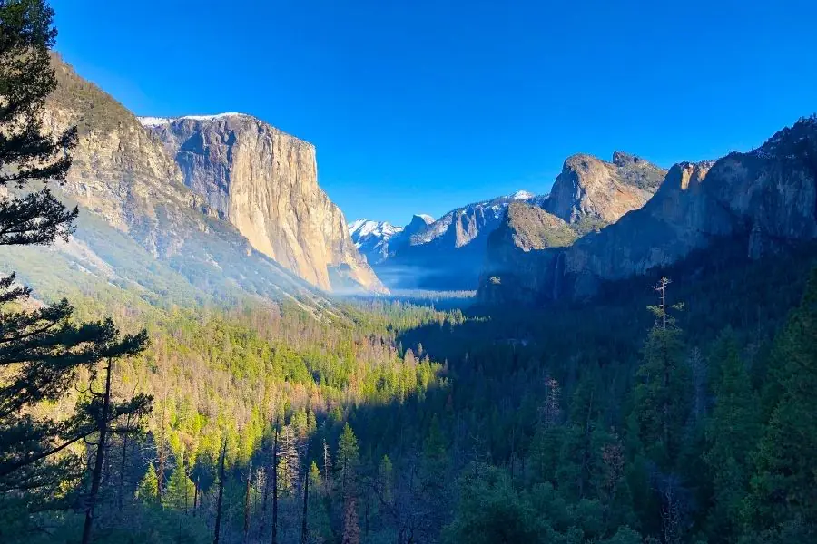 Expanse of Yosemite National Park