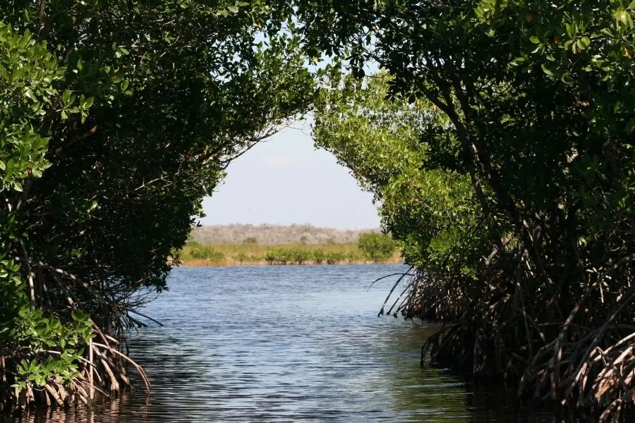 Everglades National Park - National Parks