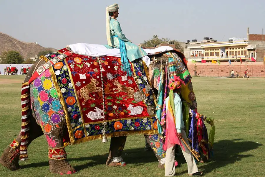 Elephant festival