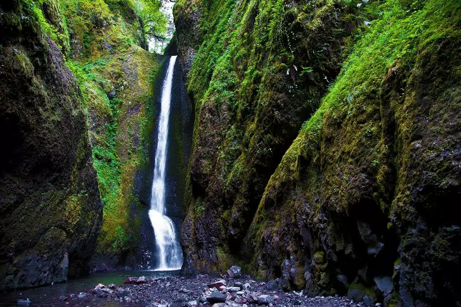 Oneonta Gorge - American Places to Visit