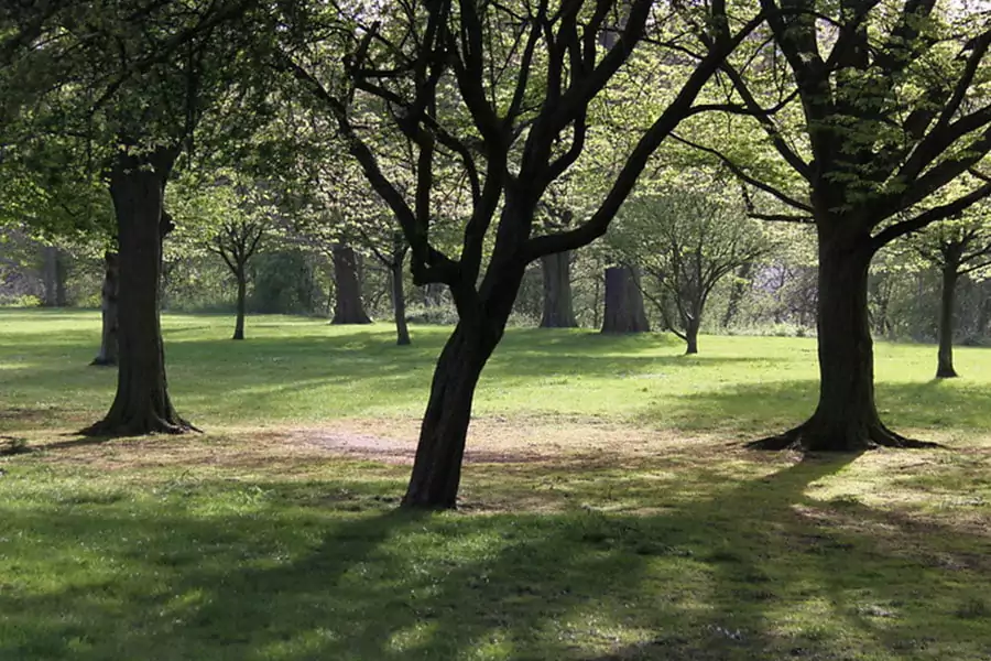 Regent’s Park - Famous Parks in England