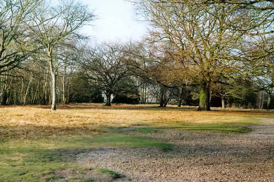 Sutton Park - Famous Parks in England