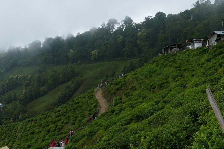 Hill Stations in West Bengal