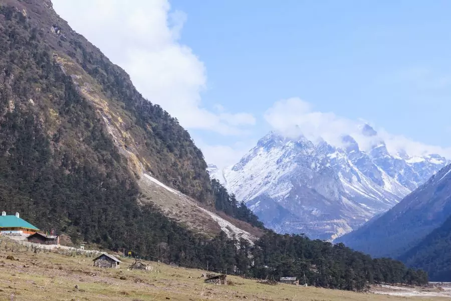Yumthang Valley Travel Guide