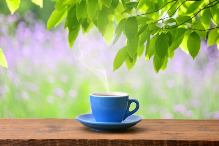 Top 5 Famous Green Coffee Brands For Losing Weight