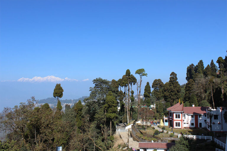 Zimba Gaon: A Scenic Retreat in Darjeeling, Homestays