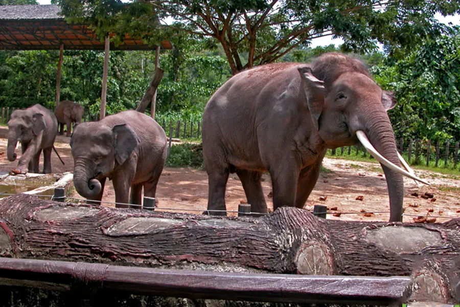 Kota Zoological Park - Places to Visit in Kota
