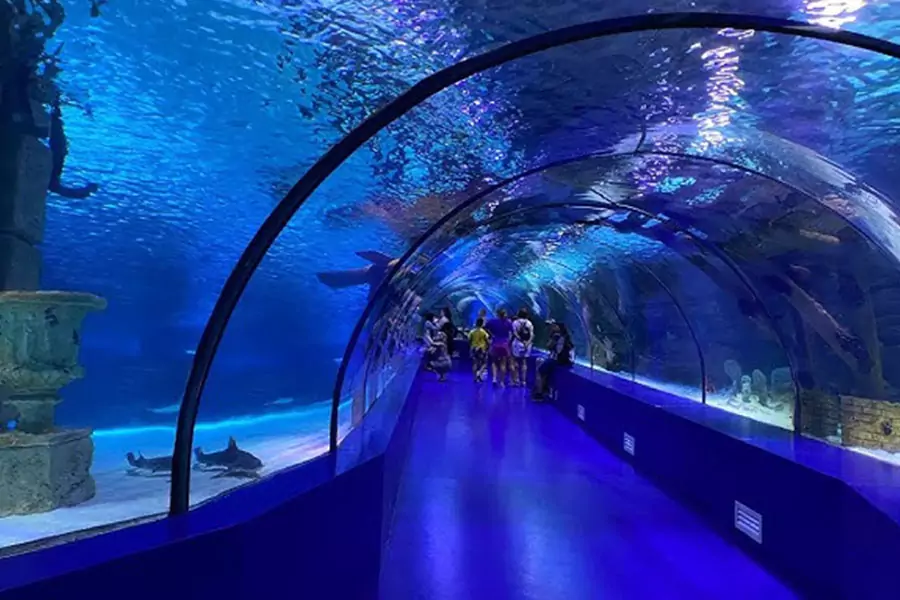 Borivali Underwater Aquarium Mumbai
