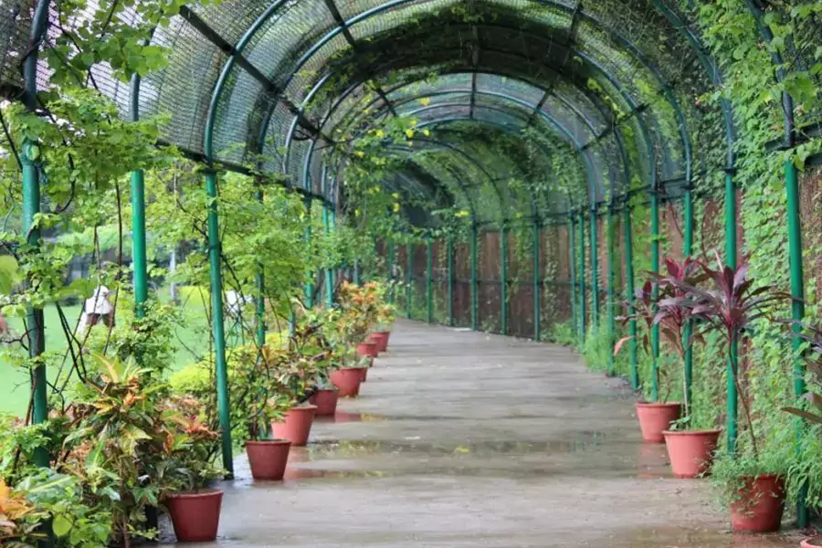 Sneh Rashmi Botanical Garden - Places to Visit in Surat