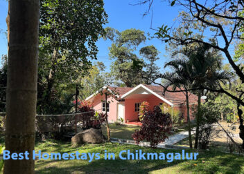 Best Homestays in Chikmagalur